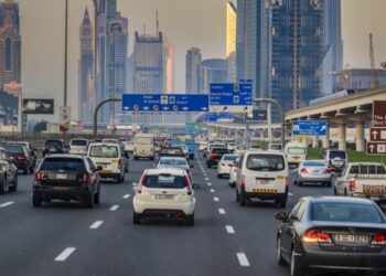 International Driving License