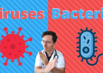 How Are Viruses Different From Bacteria Apex