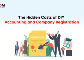DIY Accounting