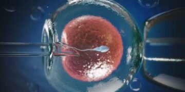 IVF Cost in Pune
